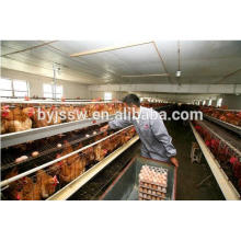 A type of poultry egg chicken layer cage price( 20years lifespan)